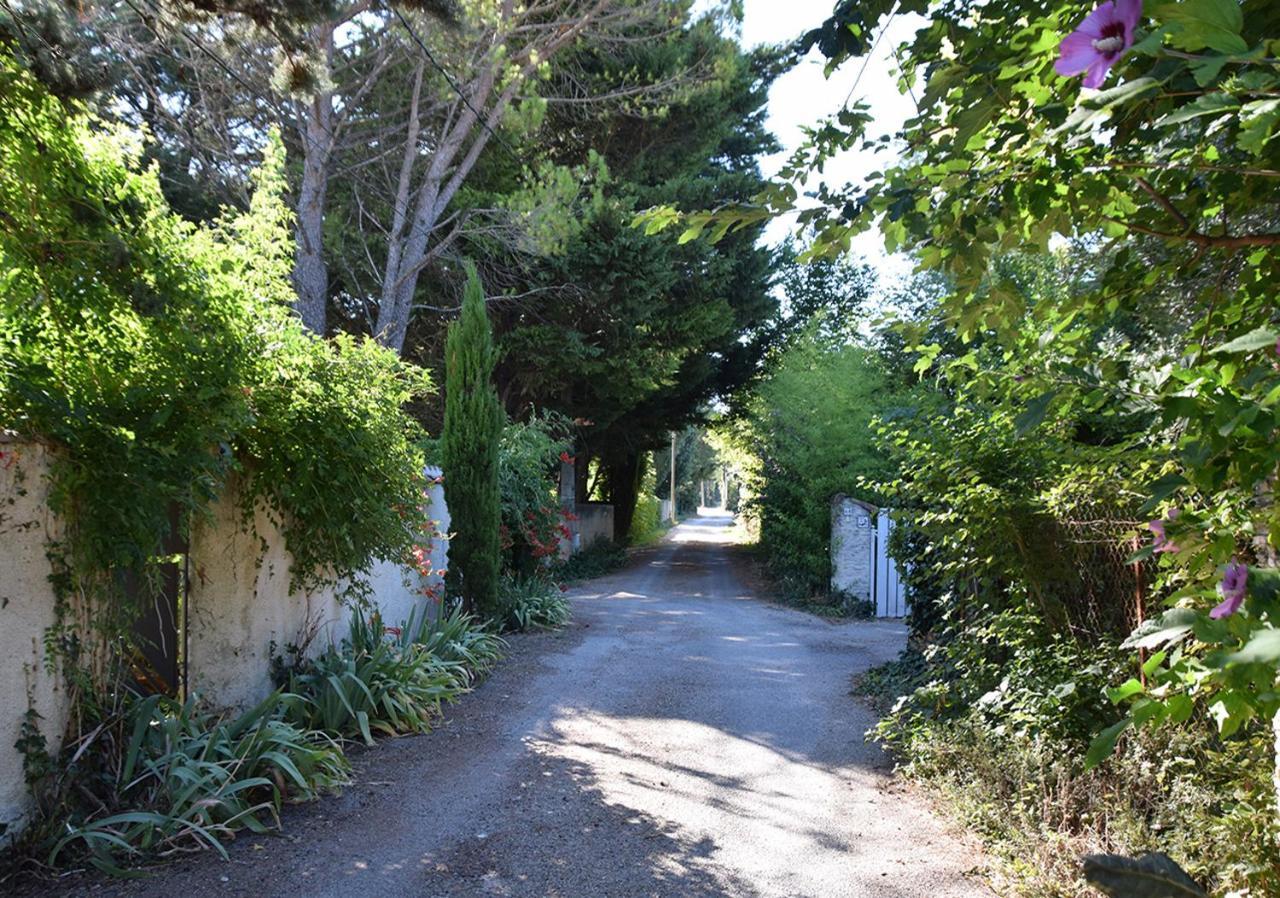 La Maison Des Invites Pernes-les-Fontaines Esterno foto