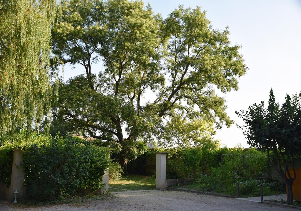 La Maison Des Invites Pernes-les-Fontaines Esterno foto